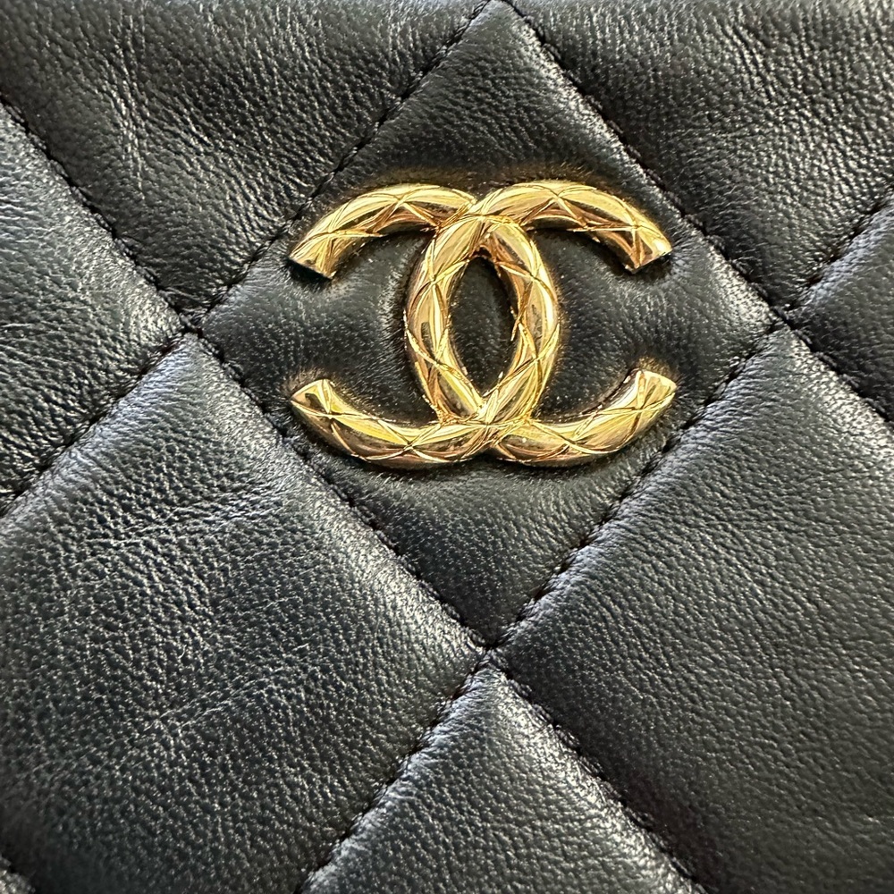 Chanel Camera Case - Picture 2 of 16